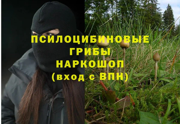 дживик Абинск