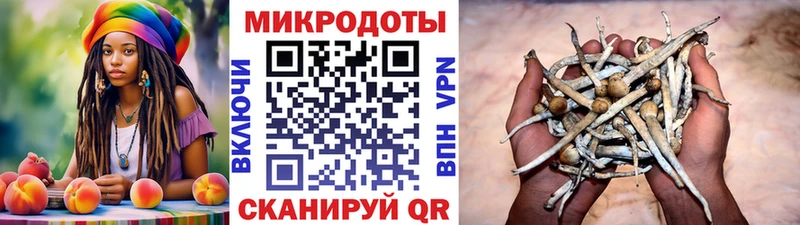 Псилоцибиновые грибы Psilocybine cubensis Усолье-Сибирское